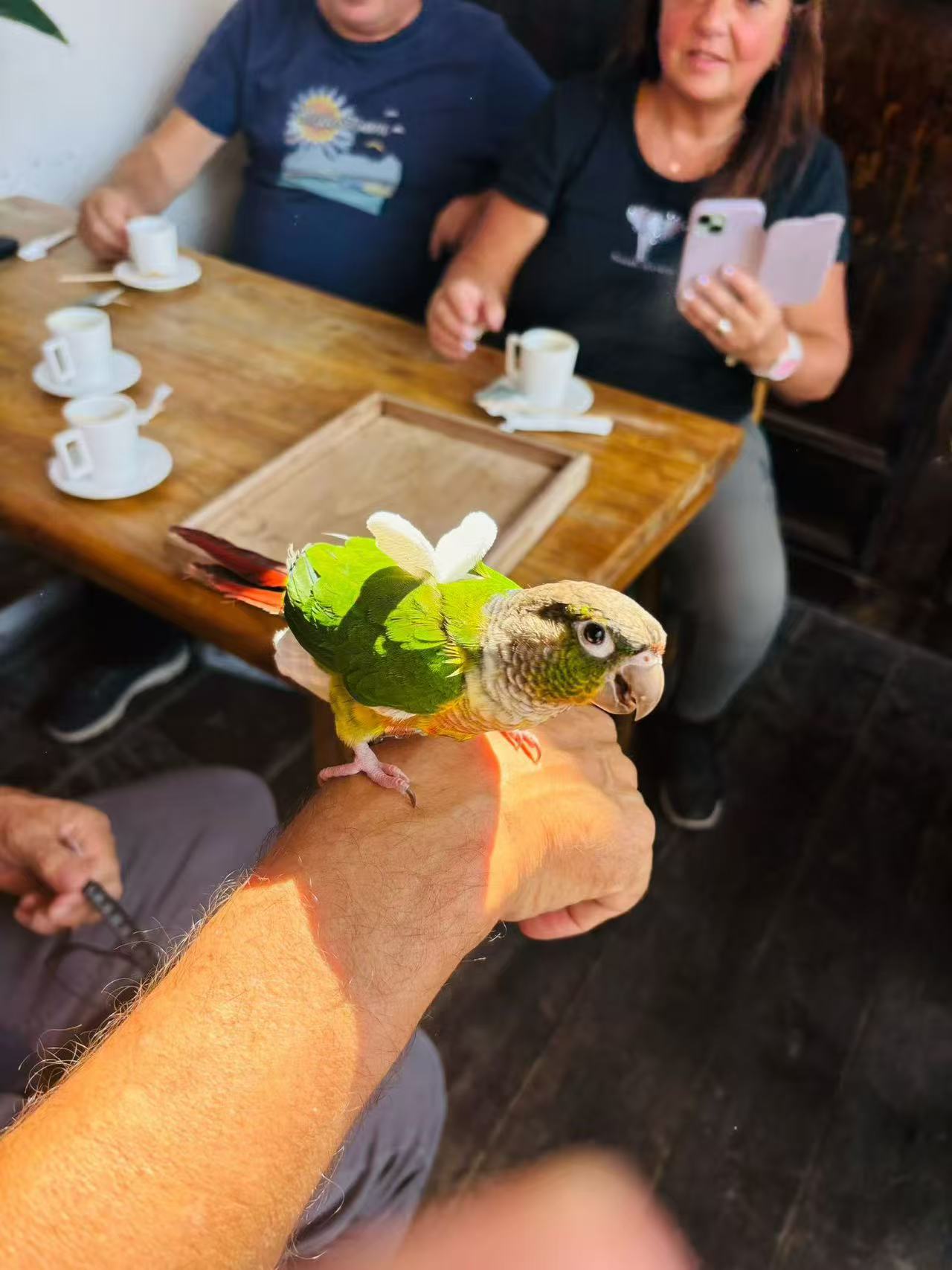 A small green parrot perched on a guest’s wrist, with teacups and guests around a wooden table behind it.
